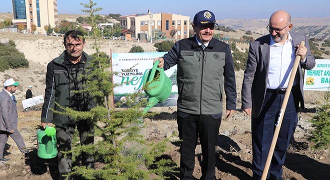 Burdur da 12 bin 500 fidan toprakla buluşacak