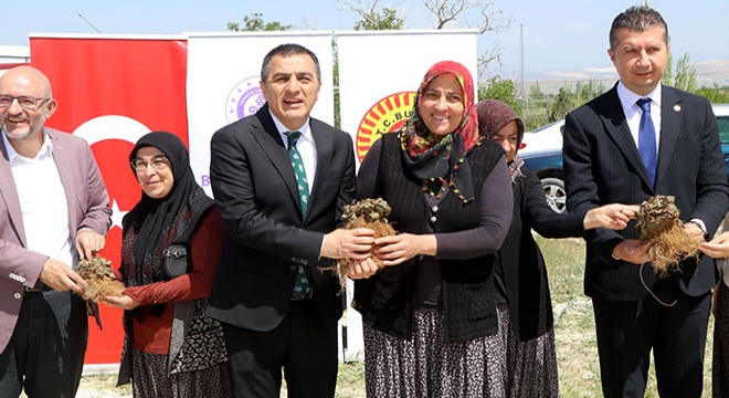 Burdur da çiftçilere çilek fidesi dağıtıldı