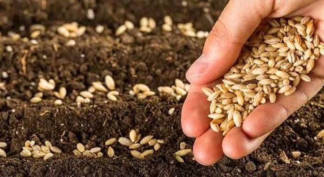 Burdur da çiftçilere tohum dağıtıldı