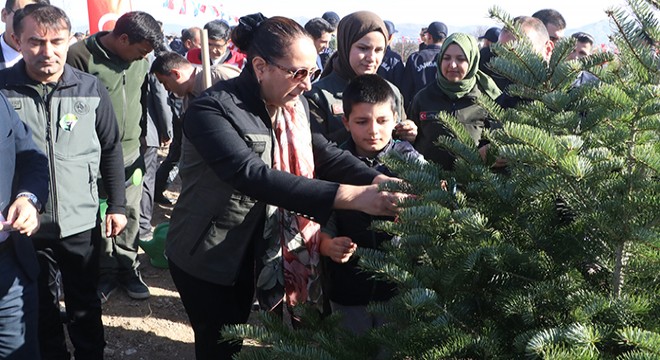 Burdur da fidan dikimi