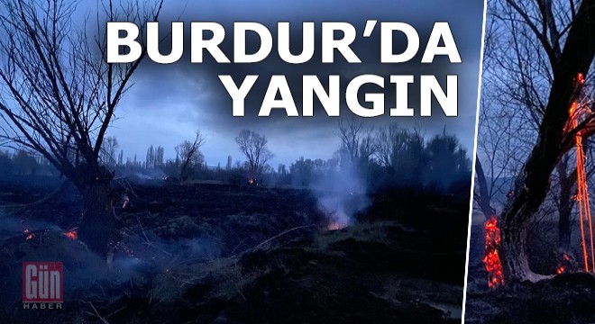 Burdur da yangın