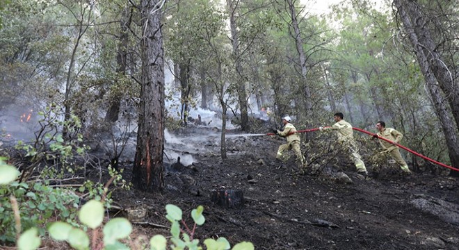 Burdur daki orman yangını, 6 saatte kontrol altına alındı