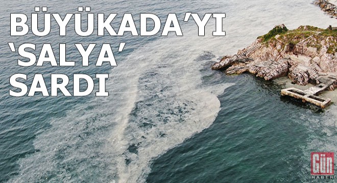 Büyükada'yı "salya" sardı