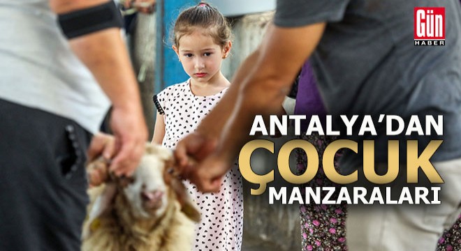 Büyükler kesti, çocuklar izledi
