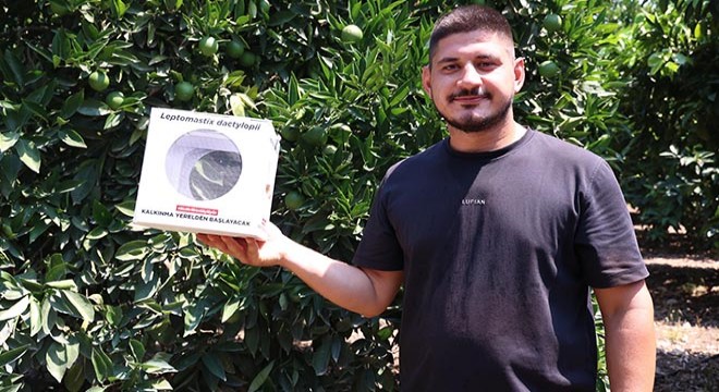 Büyükşehir’den 800 dekar araziye faydalı böcek desteği