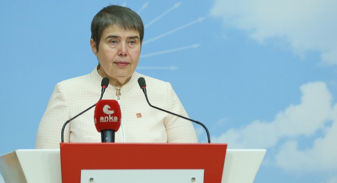 CHP li Şahbaz: Batı Nil virüsü nedeniyle onlarca vaka var