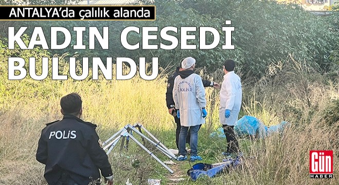 Çalılık alanda kadın cesedi bulundu