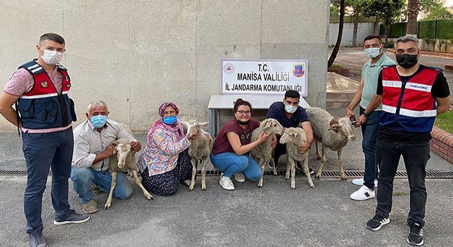 Çalınan hayvanları JASAT ekipleri buldu