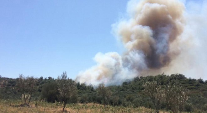Çanakkale’de aynı bölgede 6’ncı orman yangını