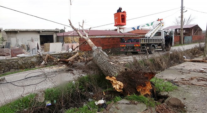 Çanakkale’de lodos fırtınası ağaçları devirdi