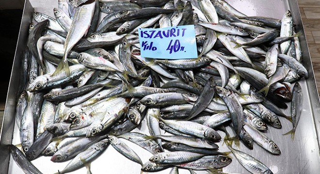 Çanakkale de  müsilaj  balık fiyatlarını arttırdı