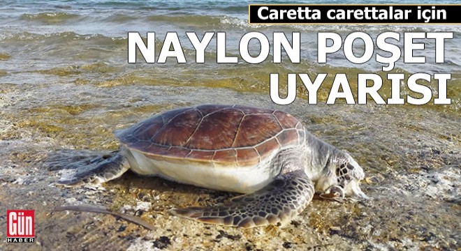 Caretta carettalar için naylon poşet uyarısı