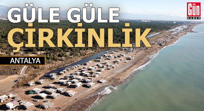 Caretta carettaların yuvası kurtuldu