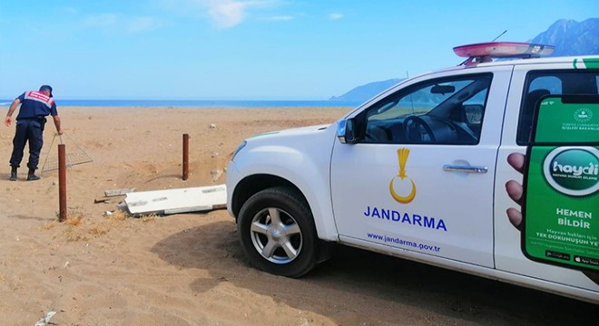 Caretta yuvalama alanına aracıyla girdi