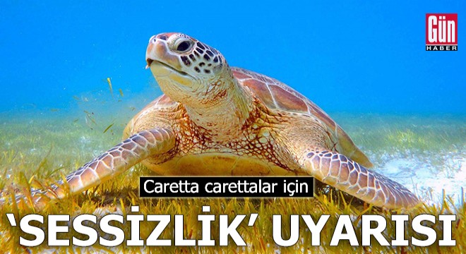 Caretta carettalar için  sessizlik  uyarısı