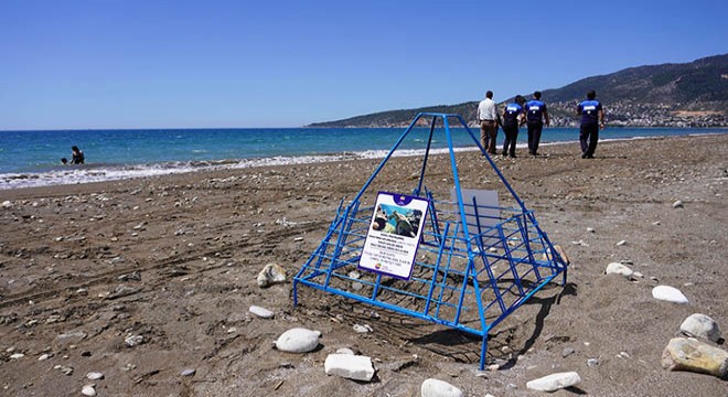 Caretta yuvalarına tel kafesli koruma
