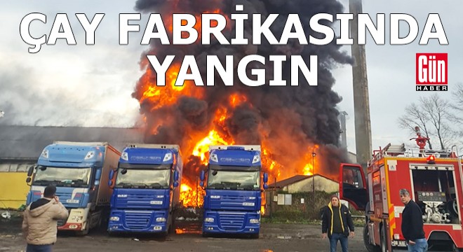 Artvin'de çay fabrikasında yangın