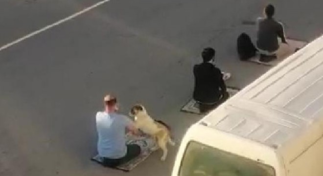 Cemaate dadanan sokak köpeği tebessüm ettirdi