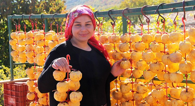 Cennet hurmasını kurutup, satıyor