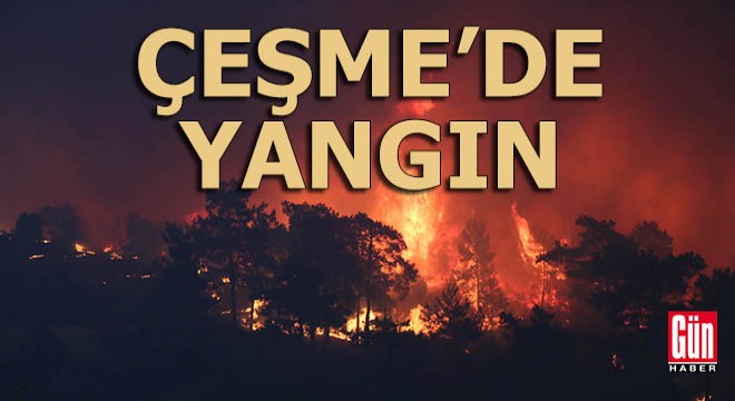 Çeşme'de orman yangını