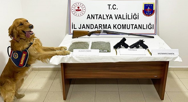Çeyiz sandığına saklanan uyuşturucuyu narkotik köpeği 'Ofset' buldu