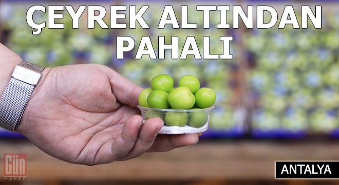 Çeyrek altından pahalı eriği görenler yalnızca fotoğrafını çekebildi