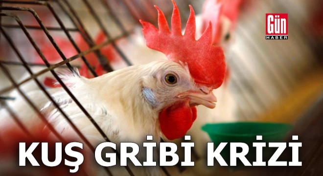 Çiftçiler kuş gribinin bir  kriz  olduğunu söylüyor