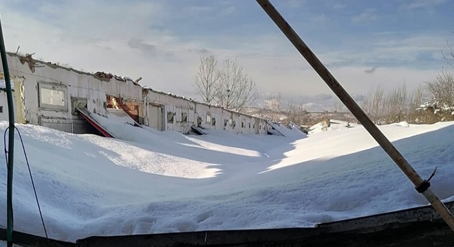 Çiftliğin çatısı çöktü; 25 bin tavuk öldü