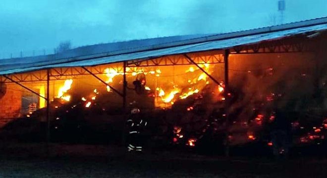 Çiftlik yangını; 2'si yavru köpek 6 hayvan öldü