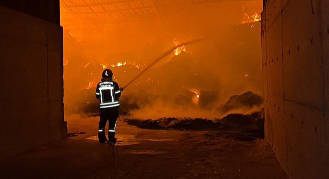 Çiftlikte samanlık yangını