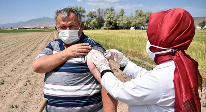 Çilek tarlasında korona aşısı