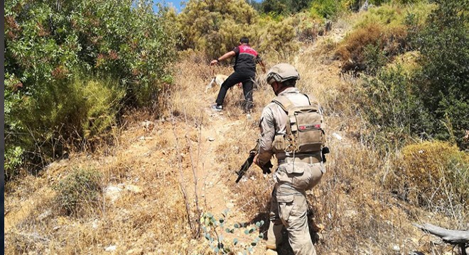 Cinayet şüphelisi, saklandığı barakada tüfekle yakalandı