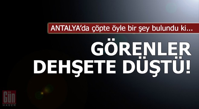 Çöp konteynerinde cenin bulundu