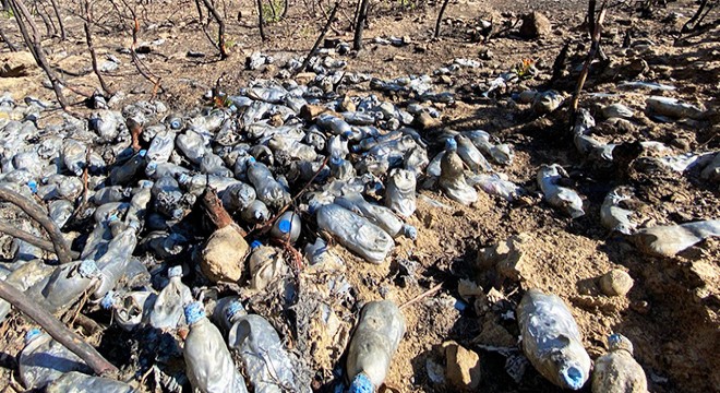 Çöp yığınları tepki topladı, soruşturma başlatıldı