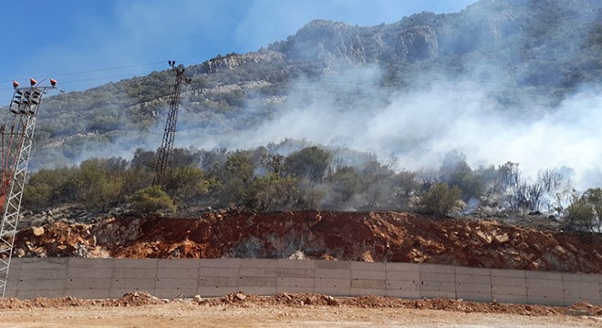 Çubukboğazı ormanlık alanda yangın