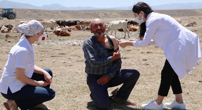 Dağları taşları aşıp, çobanların korona aşılarını yaptılar