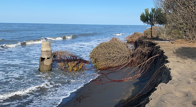 Dalgalar kıyıyı yuttu, Karadeniz evlere yaklaştı