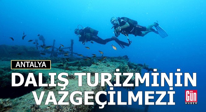 Dalış turizminin vazgeçilmezi: St. Didier batığı