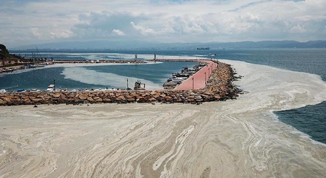 Darıca kıyıları müsilajla kaplandı