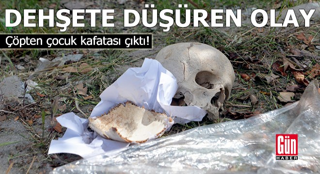 Dehşete düşüren olay: Çöpten çocuk kafatası çıktı!