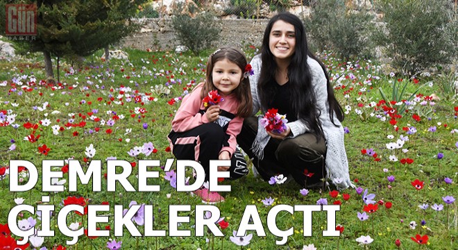Demre'de çiçekler açtı, baharı andıran görüntüler oluştu
