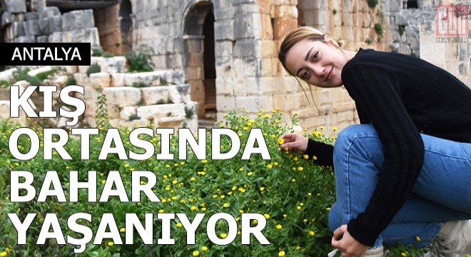 Demre'de kış ortasında bahar yaşanıyor