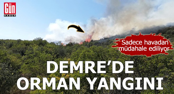 Demre'de orman yangını