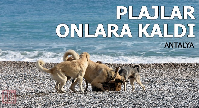 Demre'nin plajları kısıtlamada onlara kaldı
