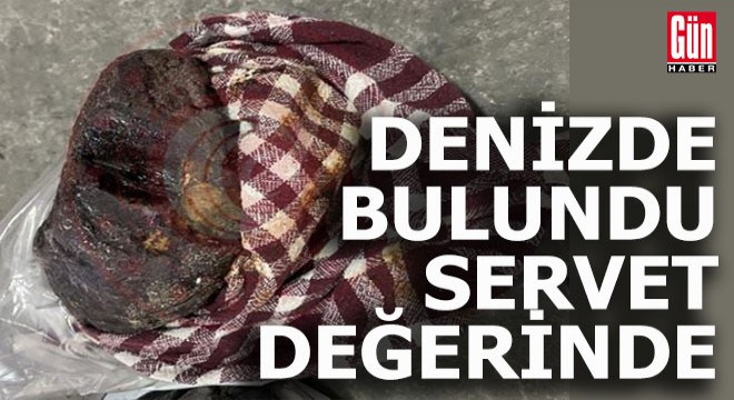 Denizde bulundu, servet değerinde...