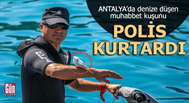 Denize düşen muhabbet kuşunu polis, jet-ski ile kurtardı