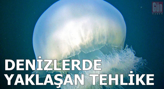 Denizlerde yaklaşan tehlike