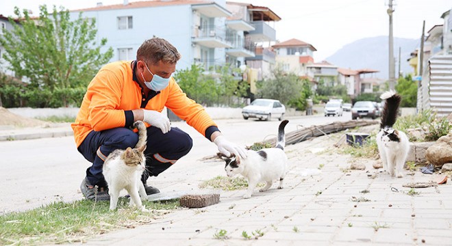 Denizli'de hayvanlar için mama ile su...