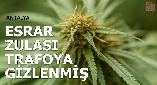 Depodaki trafoya gizlenmiş 50 kilo esrar ele geçti
