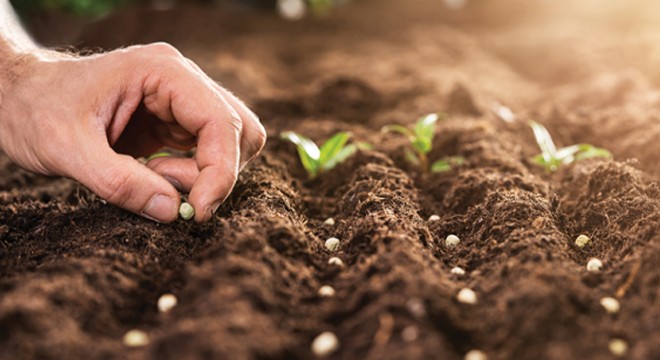Deprem bölgesinde sertifikalı tohum desteği artırıldı